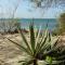 Blue Monkey Beach Cottages - Wasini