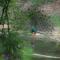 Weaver Bird Villa
