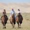 Mongolian Vision Tours - Ulaanbaatar