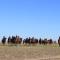 Mongolian Vision Tours