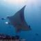Boutique Beach All Inclusive Diving Hotel