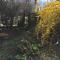 Pension Haus Baron 2 Friedrichsfeld