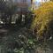Pension Haus Baron 2 Friedrichsfeld