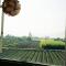 Songfeng Xiuxian Homestay
