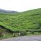 Grand Plaza - Munnar