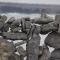 Aran Islands Camping & Glamping