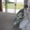 Tayside Guest House