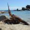 Lamberts Bay Hotel