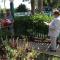 Steinhatchee River Inn and Marina - Steinhatchee