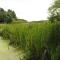 Gateway to Cape Cod ADA Accessible Cottage 6 - Rochester
