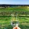 Audrey Wilkinson Vineyard