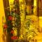 Malvasia room