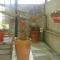 Casas Botelho Elias