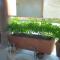 Villa Maria Bed and Breakfast