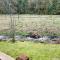 Molalla River Cottage