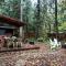Marshalls Cabin in Rhododendron