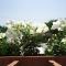 Guesthouse Giorgi