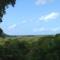 Foto: Daintree Lighthouse View 1/18