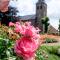 B&B Orgel Thuis