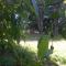 Ridgehaven Accommodation