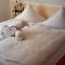 Hotel Birkenhof Garni