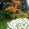 Residence Venus Garden
