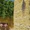 Shanti Ghar Gozo