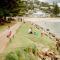Avoca Beach and Bush