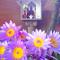 Sri Lancashire Guest House