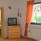 Cosy apartment in Frauenwald near forest