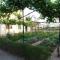 Jenny`s House