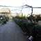 Jenny`s House