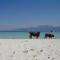 Albaria Lodge