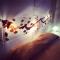 Cibele Bed&Breakfast Foto: Cibele Bed&Breakfast