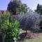 Vintage Holiday Home in Rakalj with Garden - Rakalj