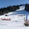 Rustic chalet with a dishwasher in the High Vosges - Le Thillot