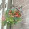 Comelybank Guesthouse - Crieff