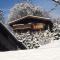 Chalet Anna near Ski area in Niedernsill - 尼德恩西尔