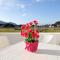 Plaia Resort