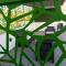 Herbal Inn Suites