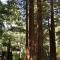 Emerald Forest Cabins - ترينيداد