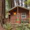 Emerald Forest Cabins - ترينيداد
