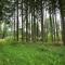 Absolute holiday house at the edge of the forest - Leideneck