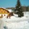 Lovely Holiday Home in Viechtach near the Forest - Viechtach