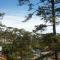 Foto: An Phuong Da Lat Villa 108/136