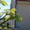 Apartments Dida moj