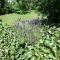 Apartment in Langewiese Sauerland with garden - 温特贝格