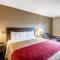 Econo Lodge Hagerstown I-81 - 黑格斯敦