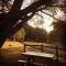 Paradiso Kinglake