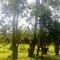 Kalitusi Nature Resort